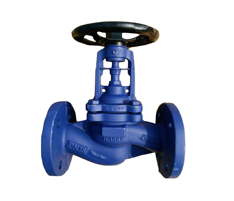 Din standard bellows seal ptfe lined cast iron globe valve for steam