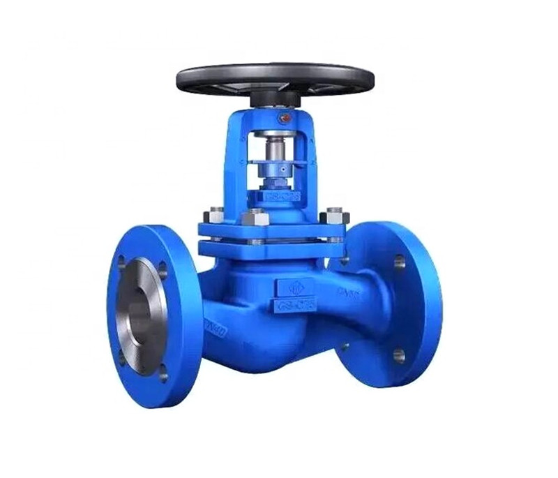 Din standard bellows seal ptfe lined cast iron globe valve for steam